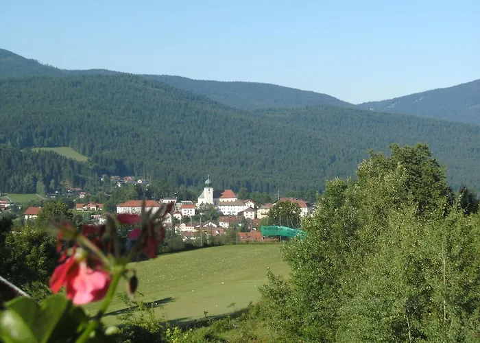 Daire Appartementhaus Himmelreich Lam